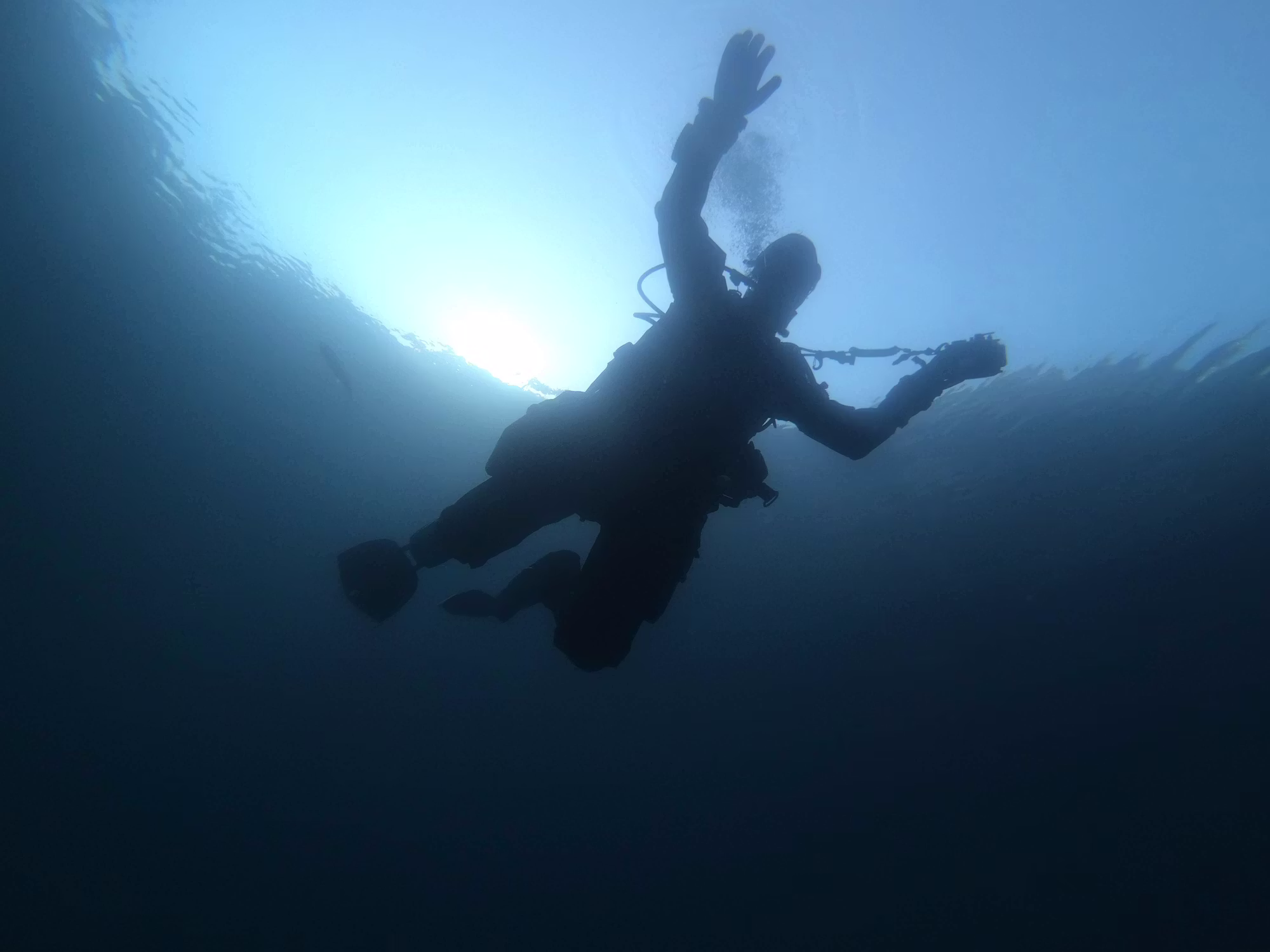 Diving Adventures: Exploring the Wonders Beneath the Surface